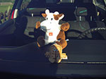 IMGP0125.jpg