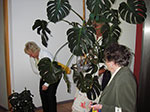 IMGP0227.jpg