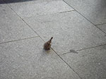 IMGP0251.jpg
