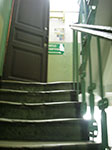 IMGP0305.jpg