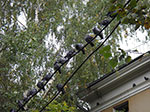 IMGP0330.jpg