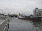 IMGP0381.jpg