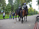 IMGP0392.jpg