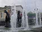 IMGP0509.jpg