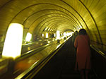 IMGP0520.jpg