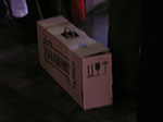 IMGP0541.jpg