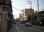 IMGP0604.jpg