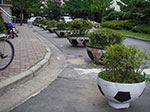 IMGP0655.jpg