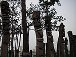 IMGP0718.jpg