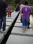 IMGP0723.jpg