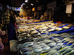 IMGP0731.jpg