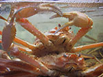 IMGP0734.jpg