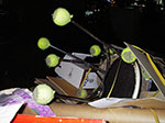 IMGP0747.jpg