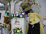 IMGP0794.jpg