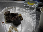 IMGP0813.jpg