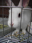 IMGP0829.jpg