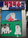 IMGP0836.jpg