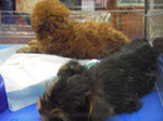 IMGP0878.jpg