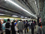 IMGP0937.jpg