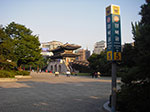 IMGP0940.jpg