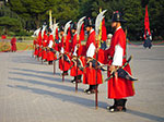 IMGP0947.jpg