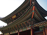 IMGP0958.jpg
