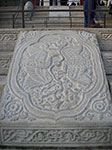 IMGP0975.jpg