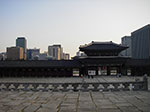 IMGP0980.jpg