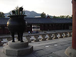 IMGP0986.jpg