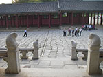 IMGP0994.jpg