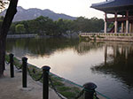 IMGP1009.jpg