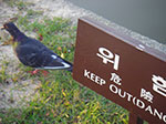 IMGP1020.jpg