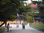 IMGP1034.jpg