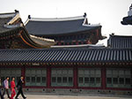 IMGP1052.jpg