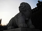 IMGP1080.jpg