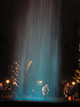 IMGP1130.jpg