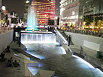 IMGP1136.jpg
