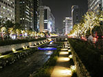 IMGP1160.jpg