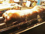 IMGP1161.jpg