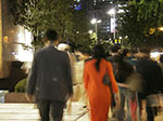 IMGP1187.jpg