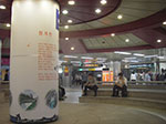 IMGP1193.jpg