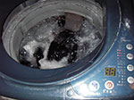 IMGP1211.jpg