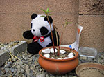 IMGP1214.jpg