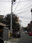 IMGP1230.jpg