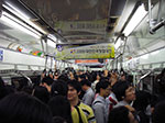 IMGP1237.jpg