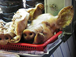 IMGP1255.jpg