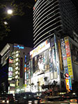 IMGP1271.jpg