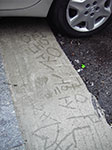 IMGP1347.jpg