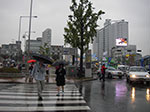 IMGP1349.jpg