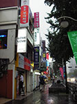 IMGP1358.jpg